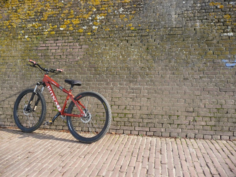 Afbeelding