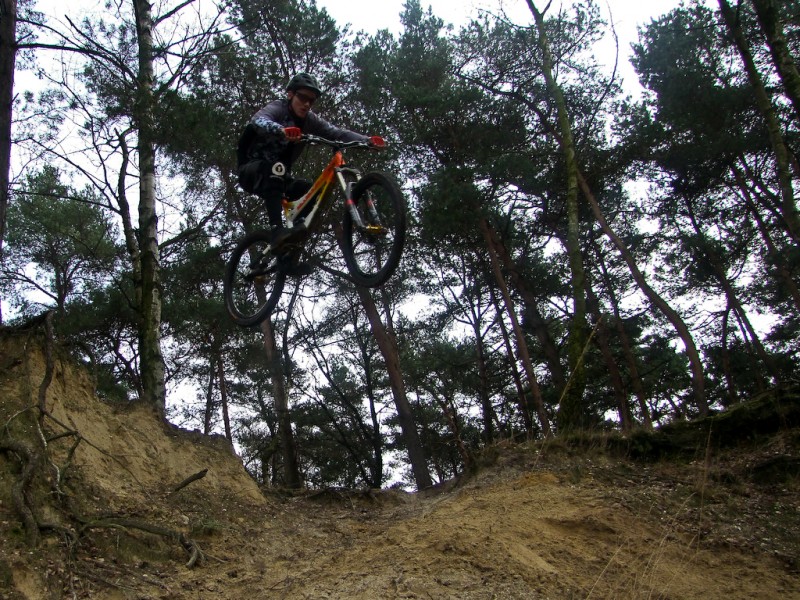 Afbeelding