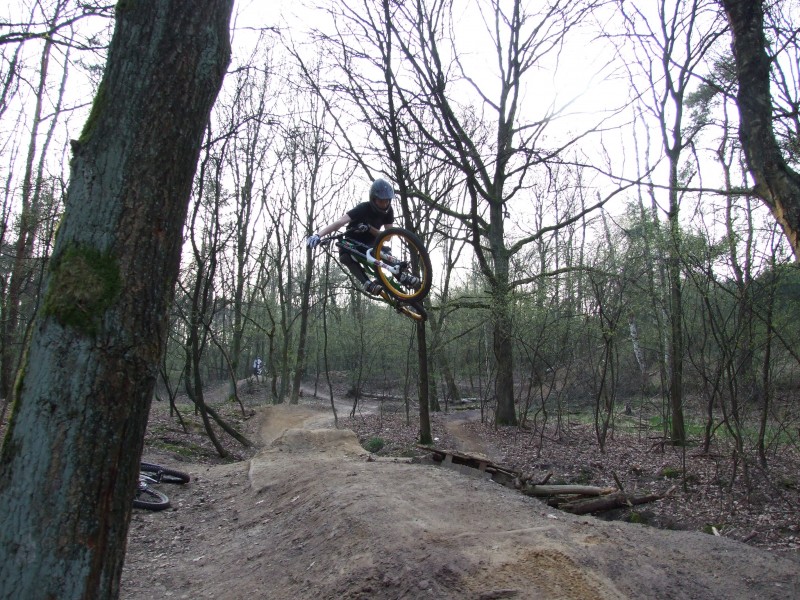 Afbeelding