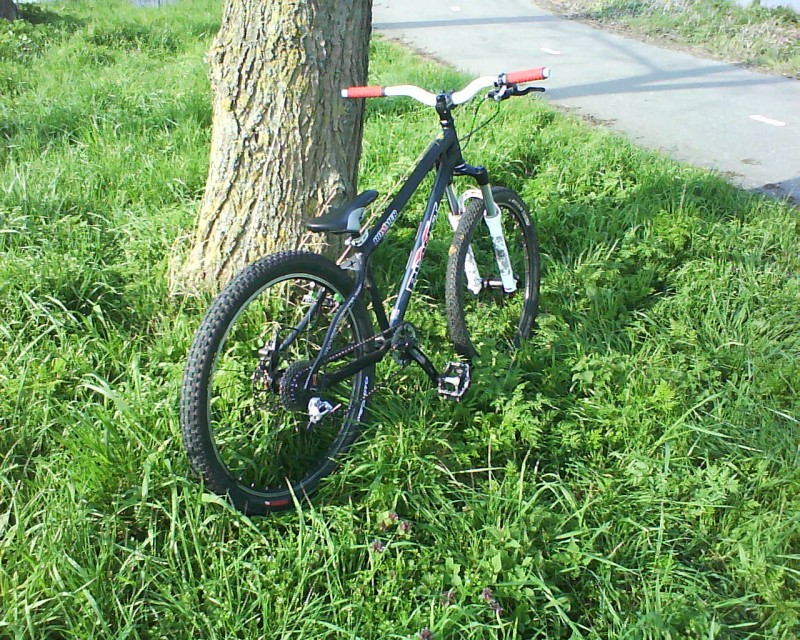 Afbeelding